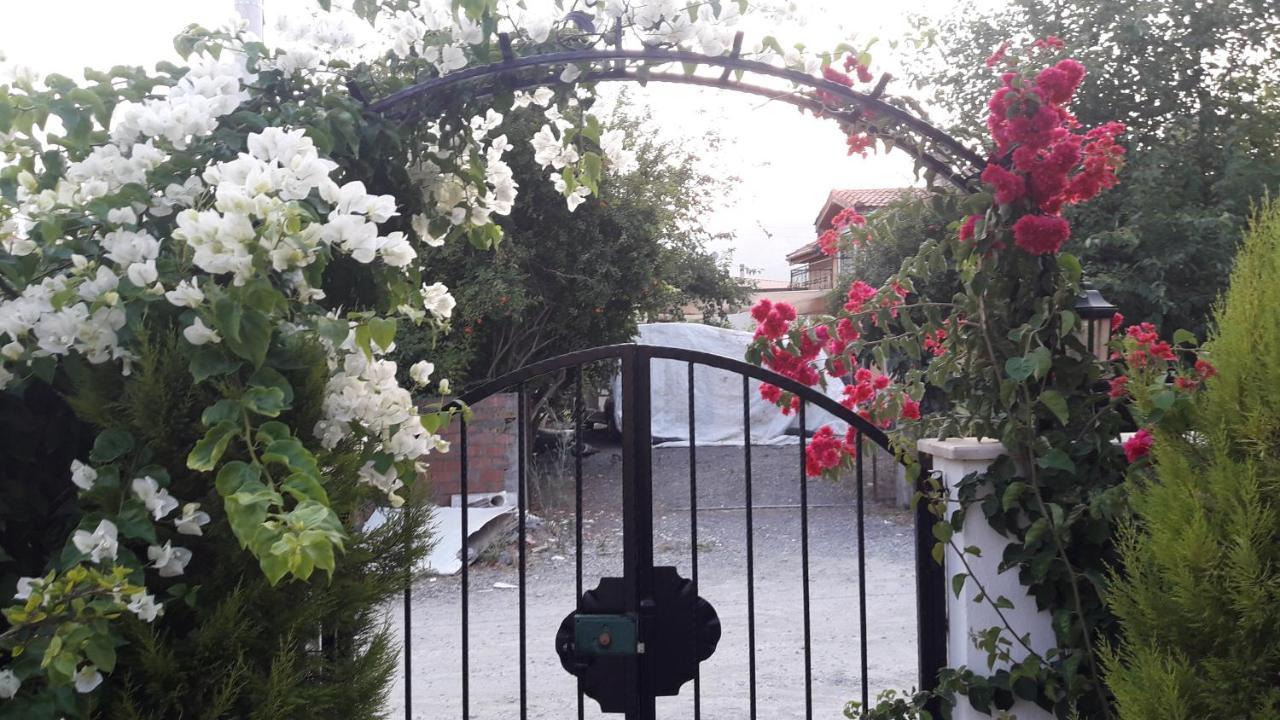 Villa Ebrar Dalyan Muğla Exterior photo