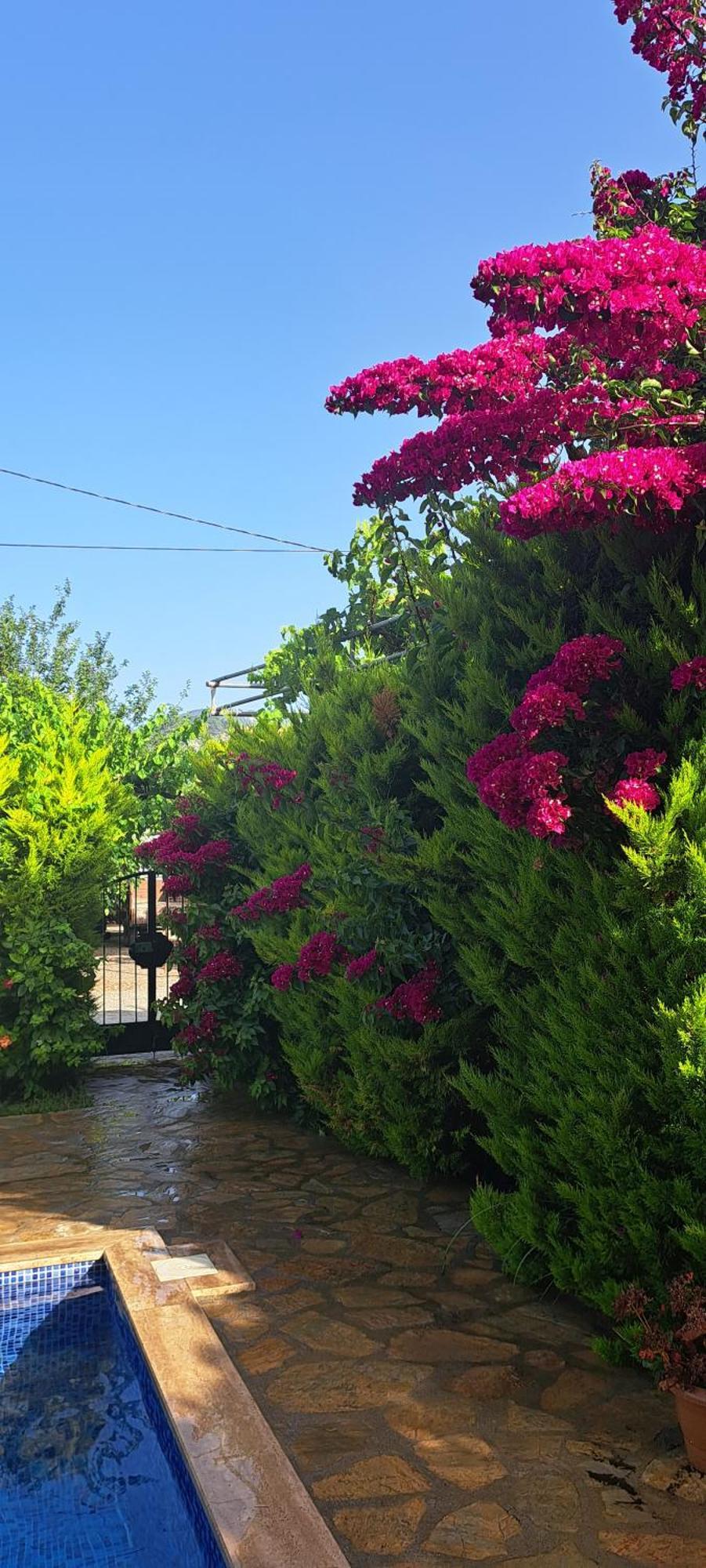 Villa Ebrar Dalyan Muğla Exterior photo